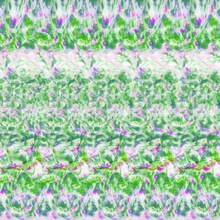 Tempalay「ゴーストアルバム」初回限定盤ジャケット