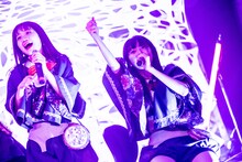 左からタマネ、ミミミユ。（撮影：Masayo）