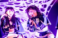 左からミミミユ、ユブネ。（撮影：Masayo）