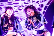 左からミミミユ、ユブネ。(撮影:Masayo)