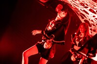 タマネ（撮影：Masayo）