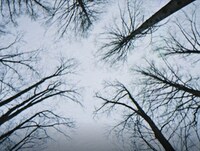 kiwi「You」ミュージックビデオのワンシーン。