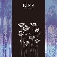 The mellows「BLMS」ジャケット