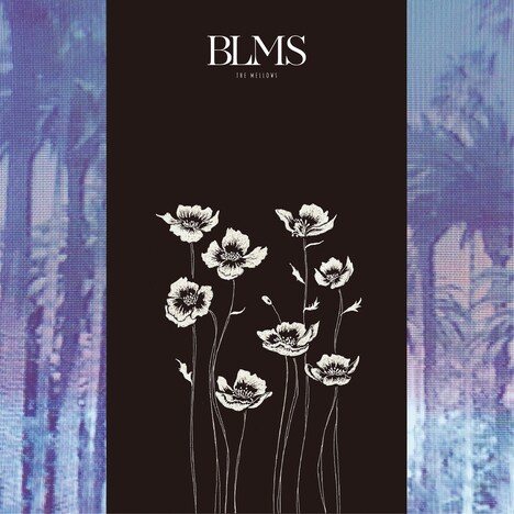 The mellows「BLMS」ジャケット