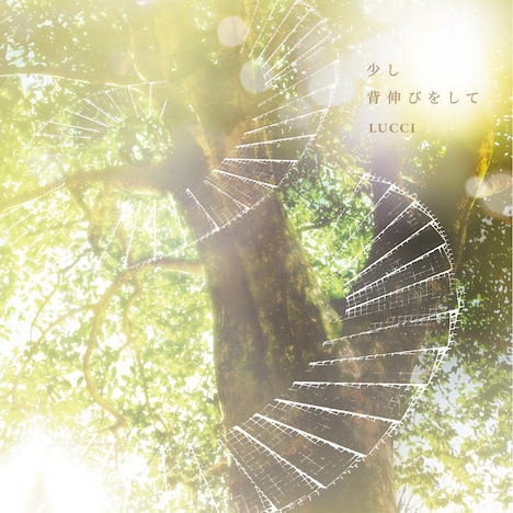 LUCCI「少し背伸びをして」ジャケット