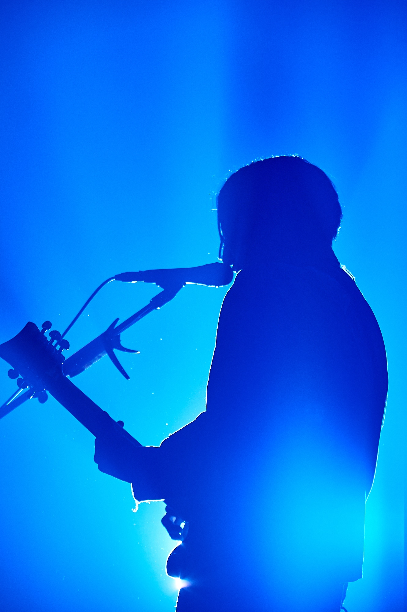 はっとり（Vo, G）（撮影：酒井ダイスケ）