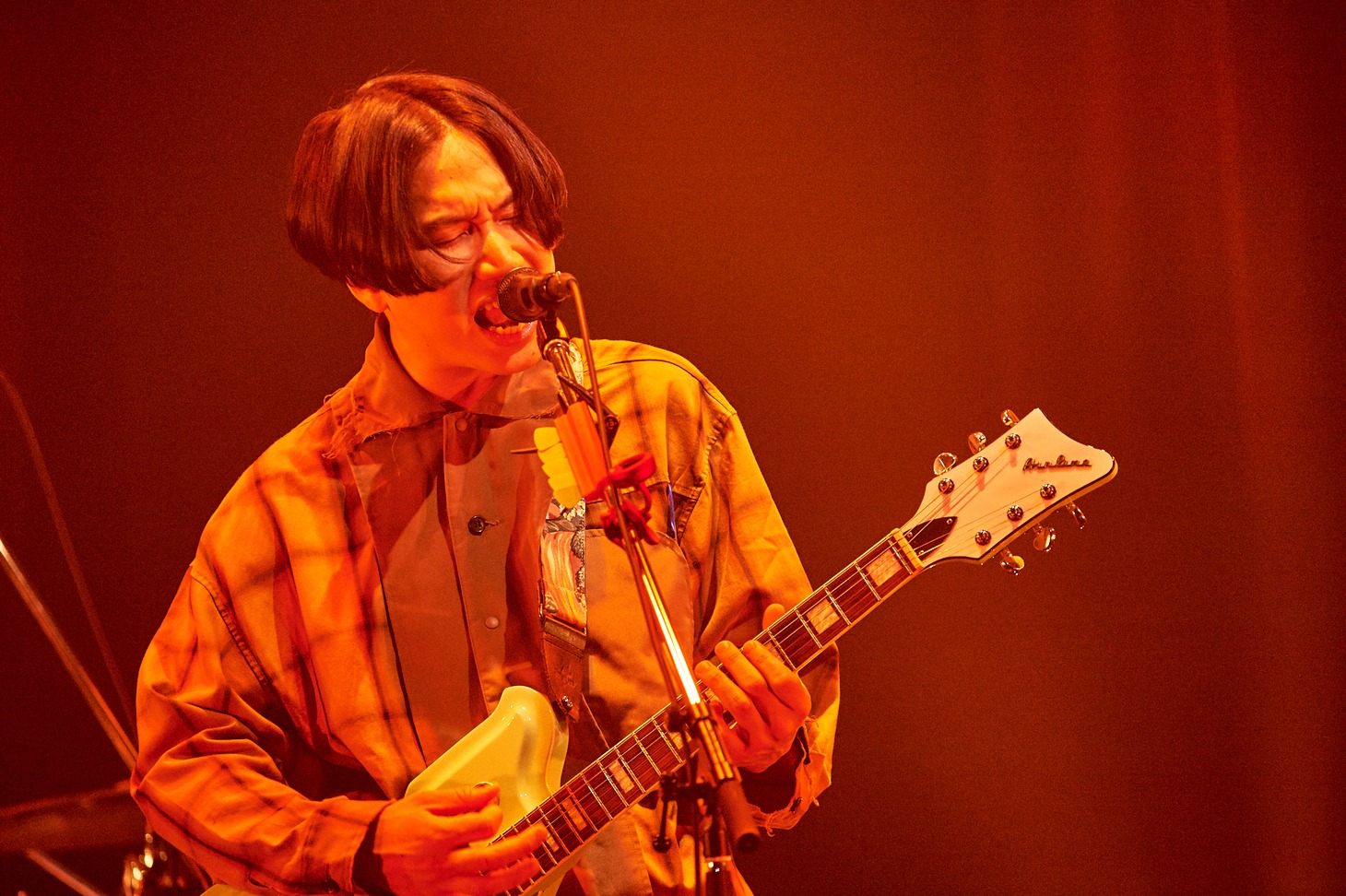 はっとり（Vo, G）（撮影：酒井ダイスケ）