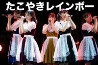 たこやきレインボー