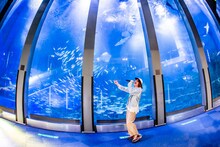 「ビッケブランカ SUPER AQUARIUM LIVE」の様子。