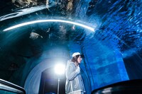 「ビッケブランカ SUPER AQUARIUM LIVE」の様子。