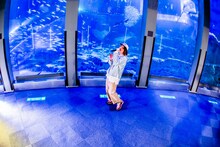 「ビッケブランカ SUPER AQUARIUM LIVE」の様子。
