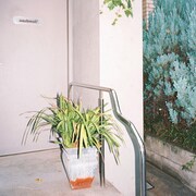 wachowski「喪失」配信ジャケット