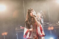 ヤマコマロ（Photo by nishinaga "saicho” isao）