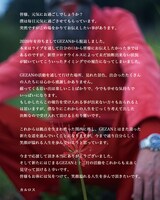 カルロス・尾崎（B）のコメント。