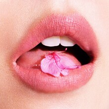 あいみょん「桜が降る夜は」配信ジャケット