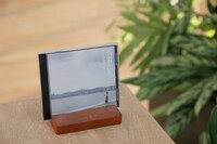 ズーカラデル「若者たち」完全生産限定盤