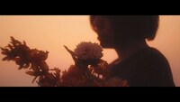 ヒトリエ「イメージ」ミュージックビデオより。