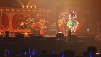 「水樹奈々「約束」（NANA MIZUKI LIVE CIRCUS 2013 愛媛県武道館）」のワンシーン。