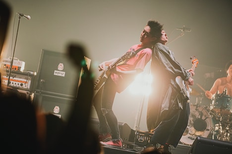 左からハルカミライの関大地（G, Cho）、須藤俊（B, Cho）。（撮影：日吉“JP”純平）