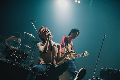 ハルカミライの橋本学（Vo）（撮影：日吉“JP”純平）