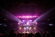 THE BAWDIES（撮影：白石達也）