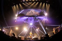 THE BAWDIES（撮影：白石達也）