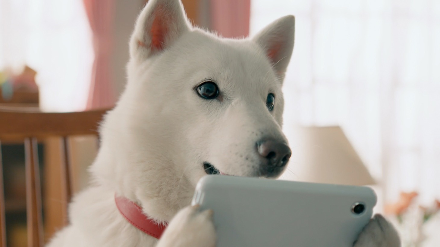 新CM「 NiziUを楽しみつくそう」「NiziUを楽しみつくそう」より。