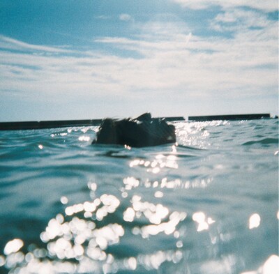 THE GUAYS「あきらめることをあきらめたんだ」ジャケット