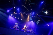 PEDRO(Photo by sotobayashi kenta)