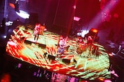 PEDRO(Photo by sotobayashi kenta)