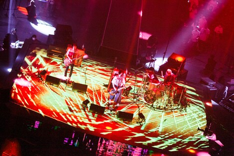 PEDRO（Photo by sotobayashi kenta）