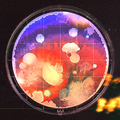 アイナ・ジ・エンド「誰誰誰」配信ジャケット