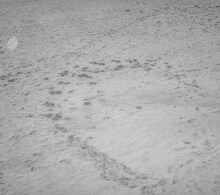 ミツメ「VI」ジャケット