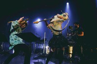 「Rei Release Tour 2021 "SOUNDS of HONEY" -the Band Set-」の様子。（撮影：上飯坂一）