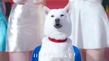 NiziU×ソフトバンク新WebCM「ゲームの次はなにするの？」編より。