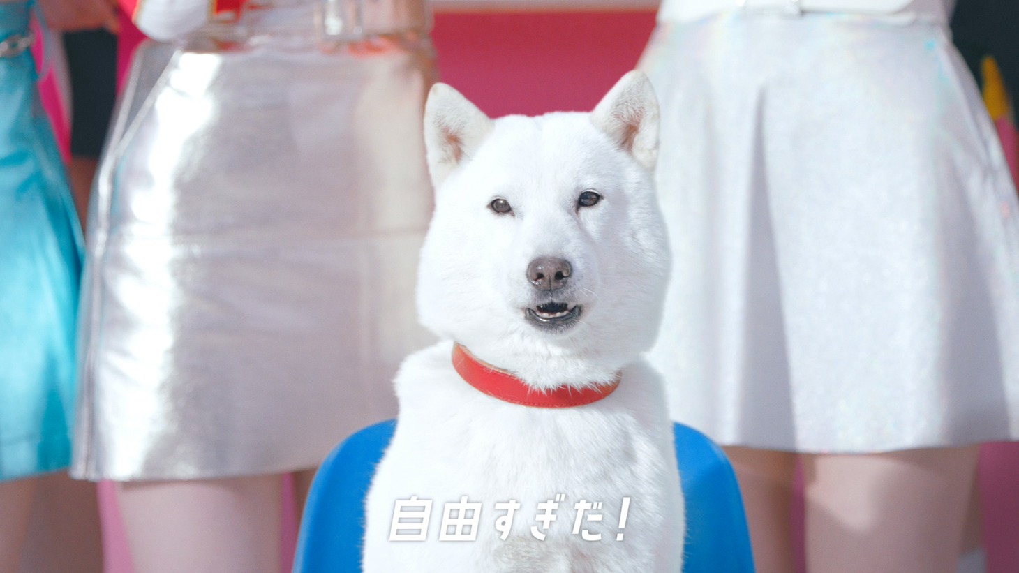 NiziU×ソフトバンク新WebCM「ゲームの次はなにするの？」編より。