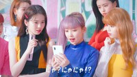 NiziU×ソフトバンク新WebCM「ネコとおしゃべり!?」編より。