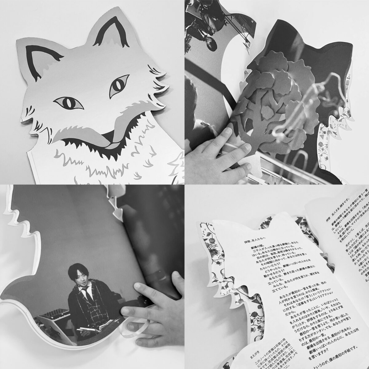 小沢健二の視る書籍 キツネを追ってゆくんだよ Dvd化 Boseとの雑談や長男の別テイク収録 音楽ナタリー