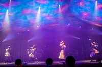 TEAM SHACHI（撮影：笹森健一）