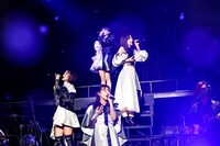 TEAM SHACHI（撮影：笹森健一）