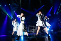 TEAM SHACHI（撮影：笹森健一）