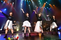 TEAM SHACHI（撮影：笹森健一）