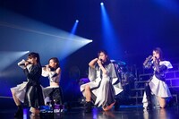 TEAM SHACHI（撮影：笹森健一）