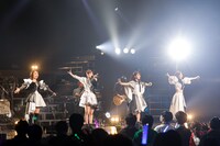 TEAM SHACHI（撮影：笹森健一）