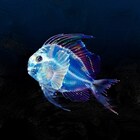 Creepy Nuts新曲は「R-1グランプリ」書き下ろしテーマソング「バレる！」