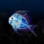 Creepy Nuts「バレる!」配信ジャケット