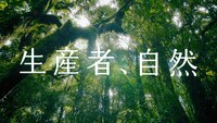 「い・ろ・は・す 天然水」テレビCM「一滴一滴森が育んだ天然水」編より。