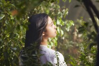 「い・ろ・は・す 天然水」テレビCM「一滴一滴森が育んだ天然水」編よりメイキング映像。