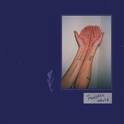 下津光史「Transient world」ジャケット