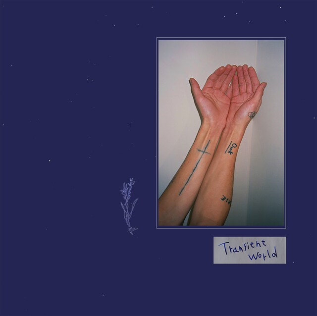 下津光史「Transient world」ジャケット